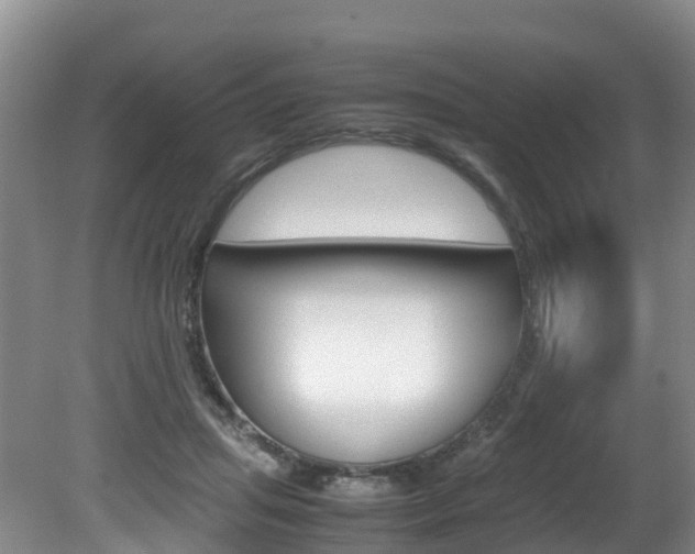X0000081570455200701151030