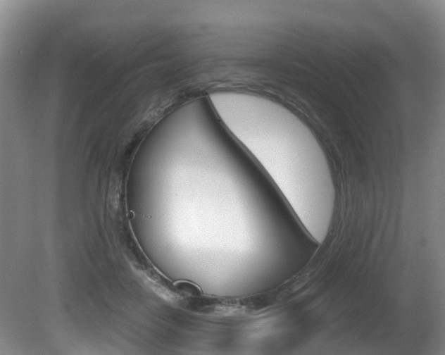 X0000081570458200701151030