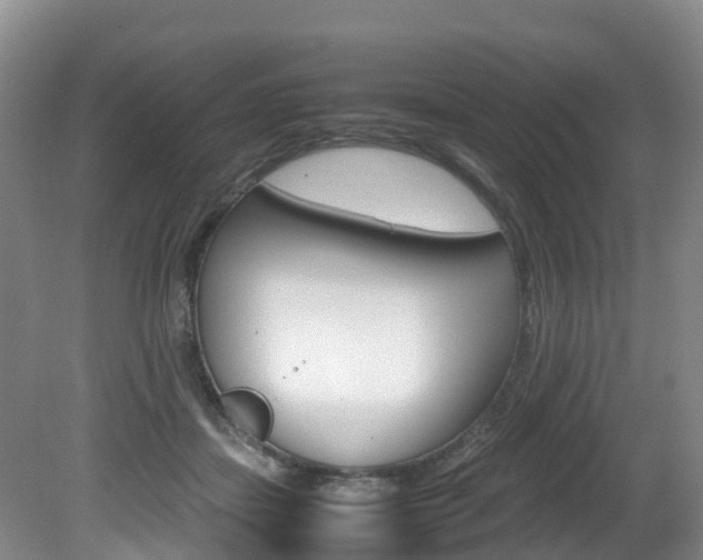 X0000081570459200701151030
