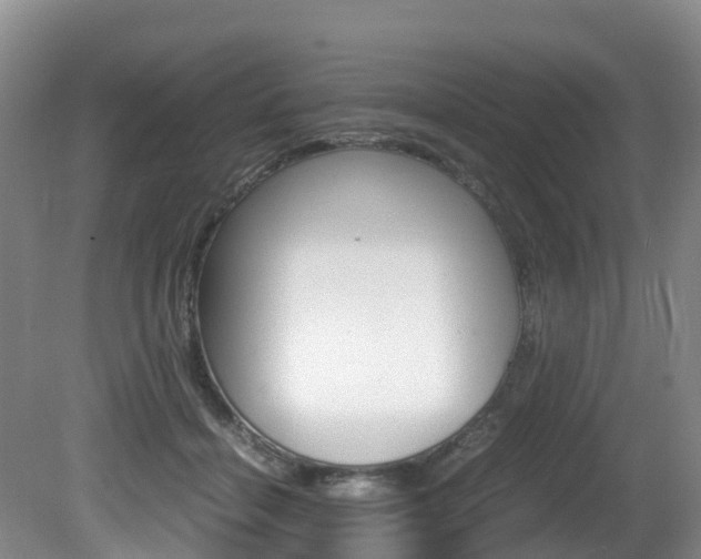 X0000081570460200701151030