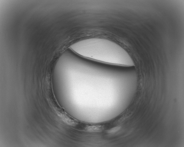 X0000081570461200701151030