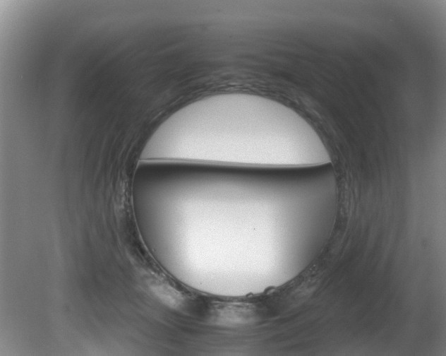 X0000081570463200701151030