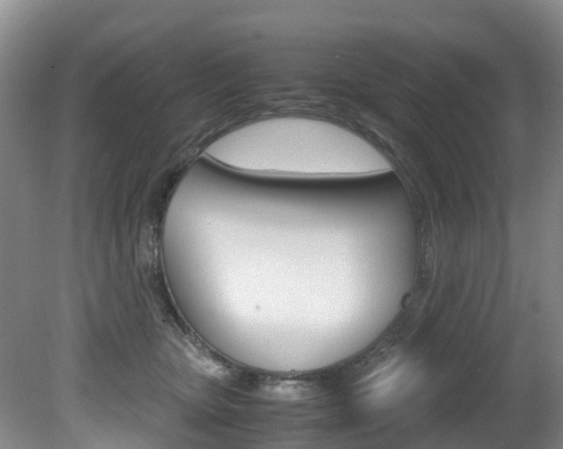 X0000081570467200701151030