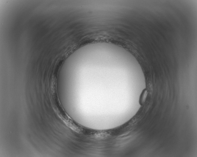 X0000081570468200701151030