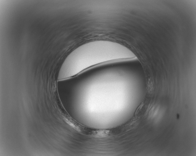X0000081570474200701151030