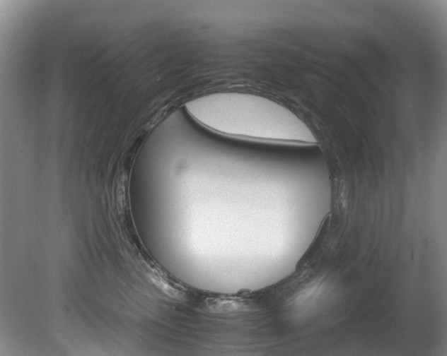 X0000081570475200701151030