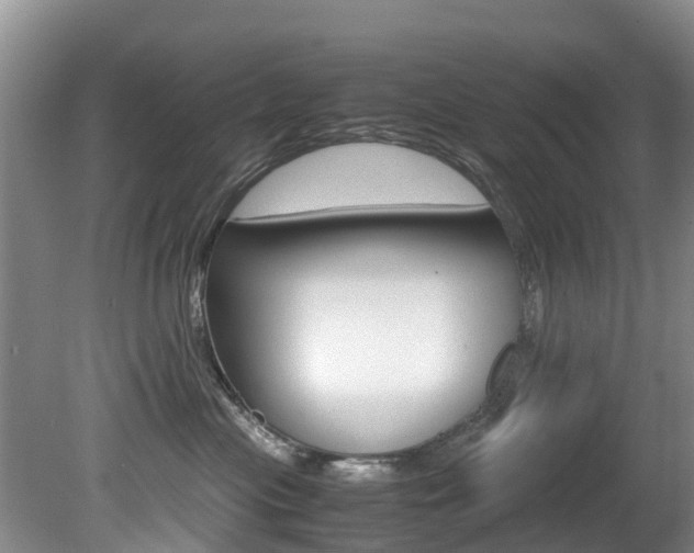 X0000081570477200701151030