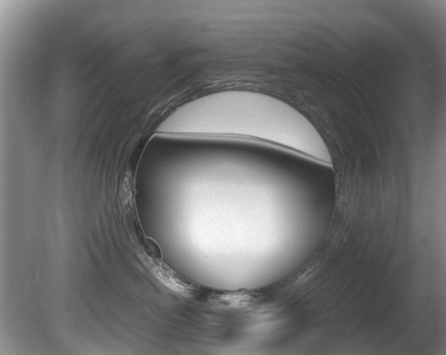 X0000081570478200701151030