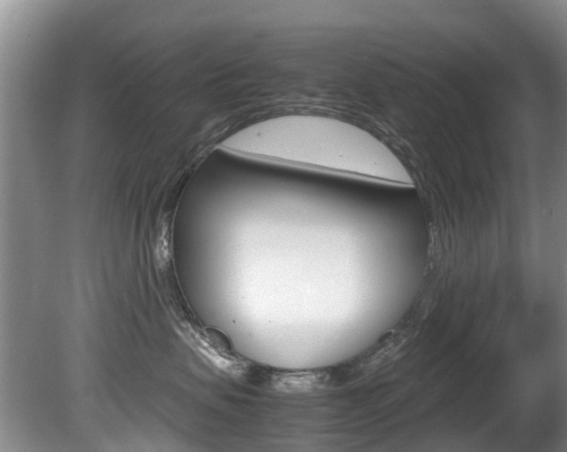 X0000081570479200701151030
