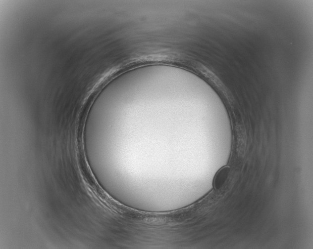 X0000081570482200701151030