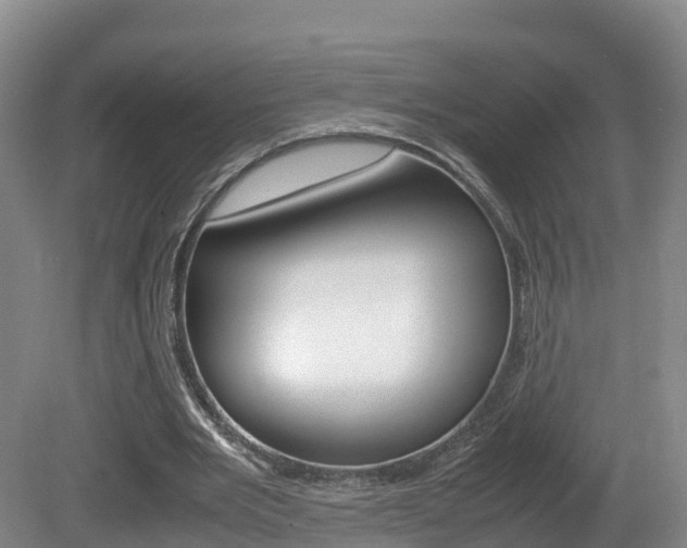 X0000081570485200701151030