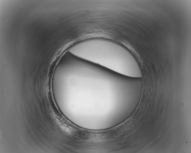 X0000081570486200701151030