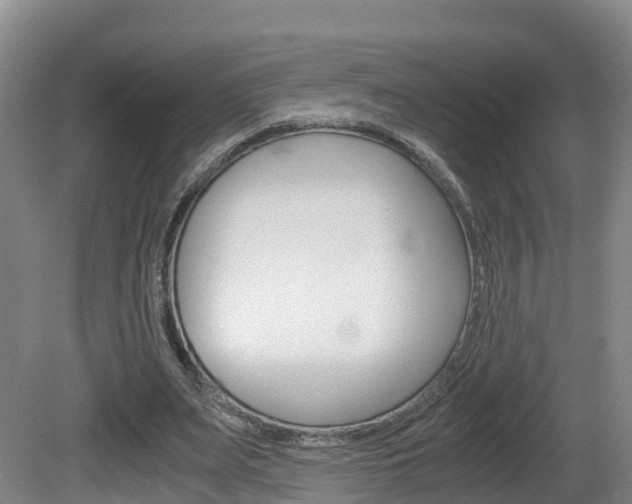 X0000081570487200701151030