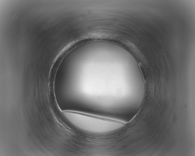 X0000081570488200701151029