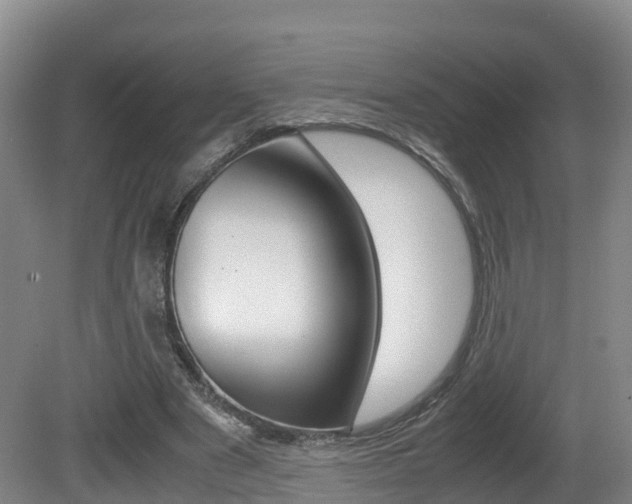 X0000081570489200701151029
