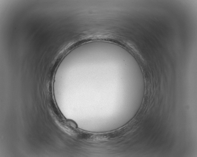 X0000081570491200701151029