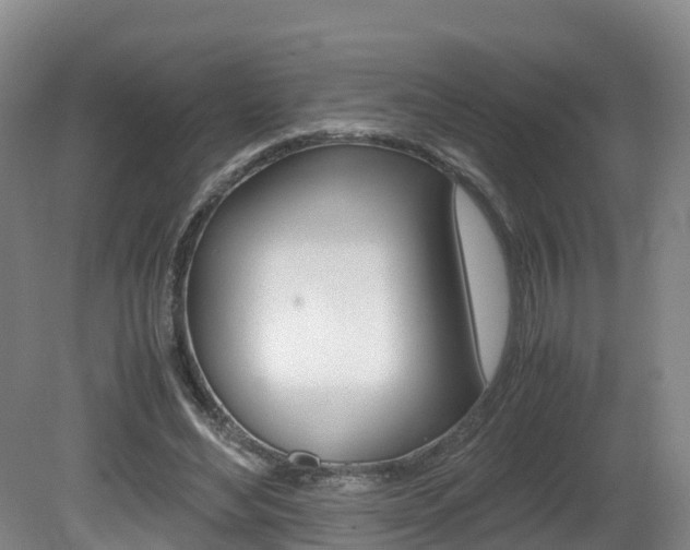 X0000081570492200701151029