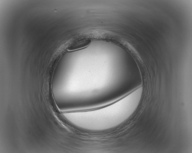 X0000081570493200701151029