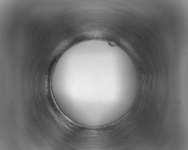 X0000081570494200701151029