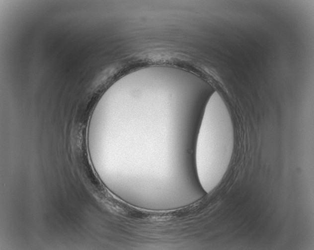 X0000081570495200701151029