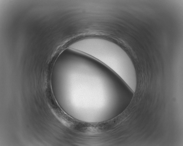 X0000081570496200701151029