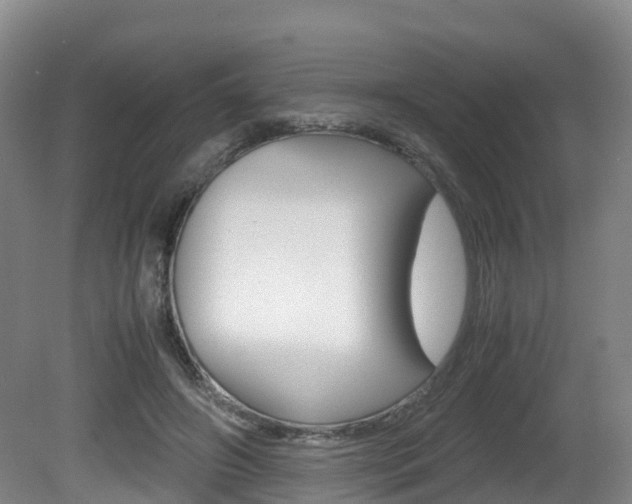 X0000081570498200701151029