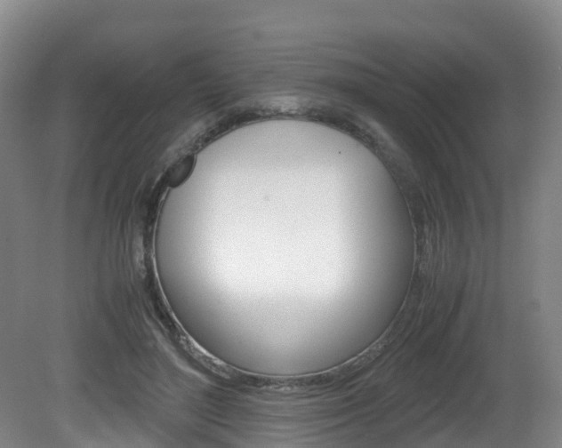 X0000081570500200701151029
