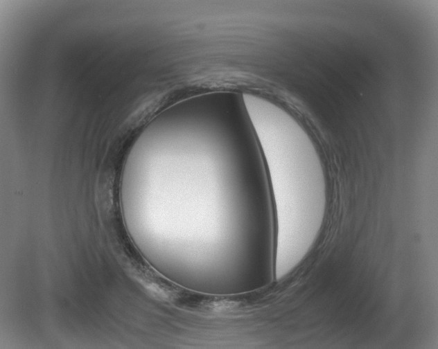 X0000081570501200701151029