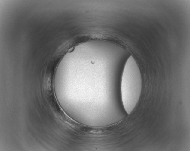 X0000081570502200701151029