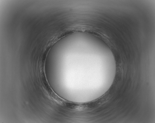 X0000081570504200701151029