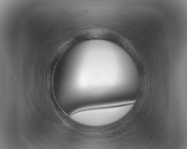 X0000081570505200701151029