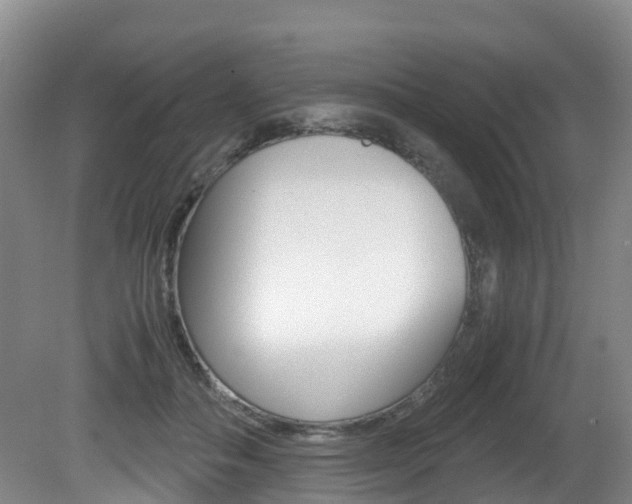 X0000081570506200701151029