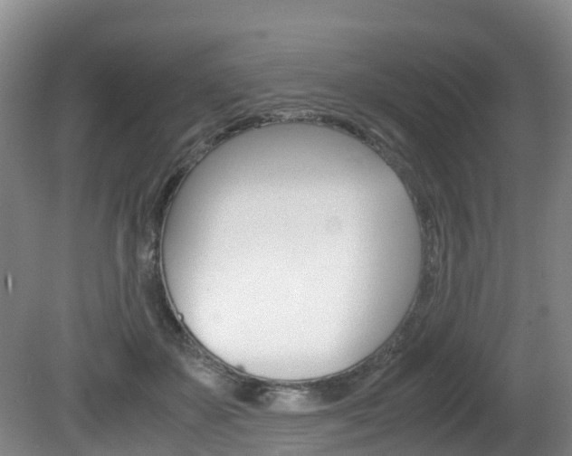 X0000081570507200701151029