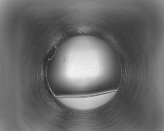 X0000081570508200701151029