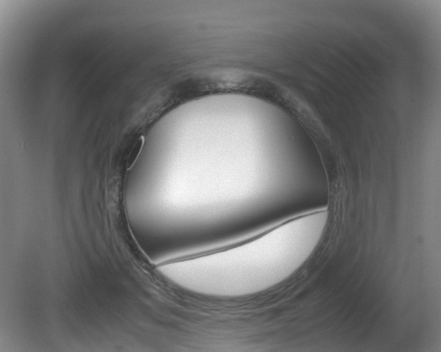 X0000081570509200701151029