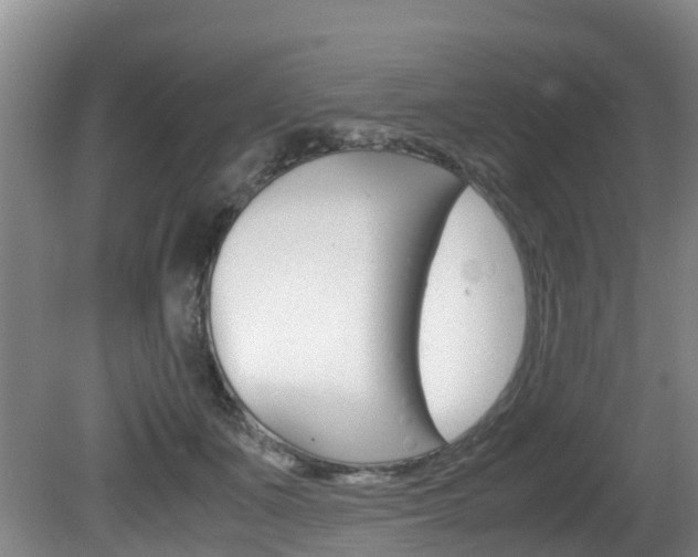 X0000081570511200701151029
