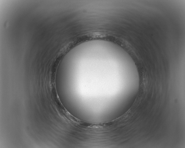X0000081570512200701151029