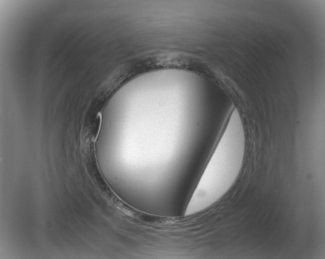 X0000081570513200701151029