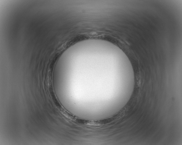 X0000081570515200701151029
