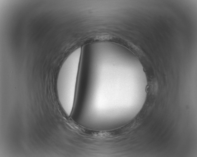 X0000081570517200701151029