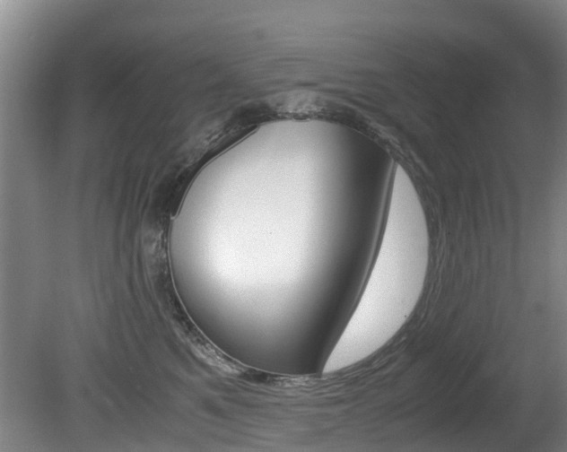 X0000081570521200701151029