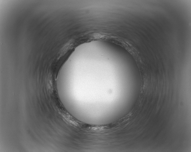 X0000081570524200701151029