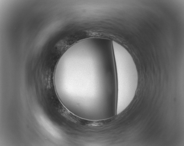 X0000081570525200701151029