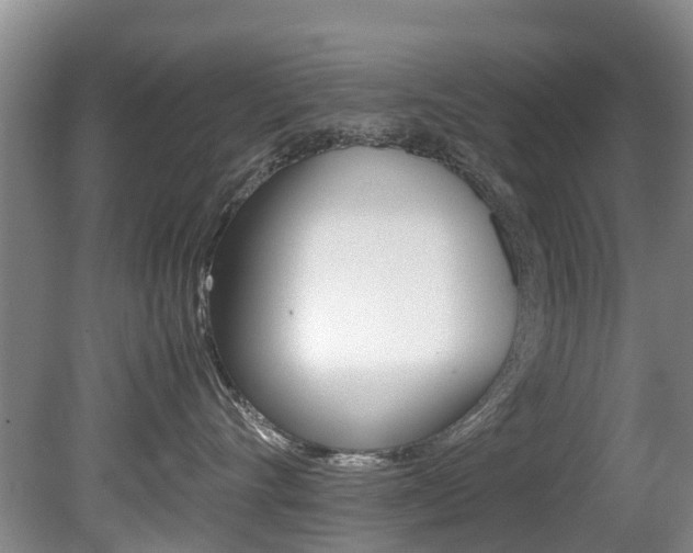X0000081570528200701151029