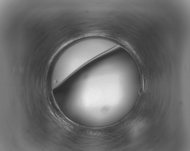 X0000081570531200701151028