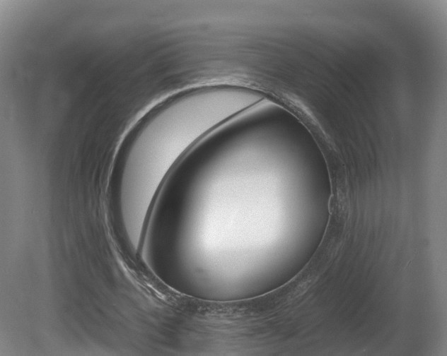 X0000081570532200701151028