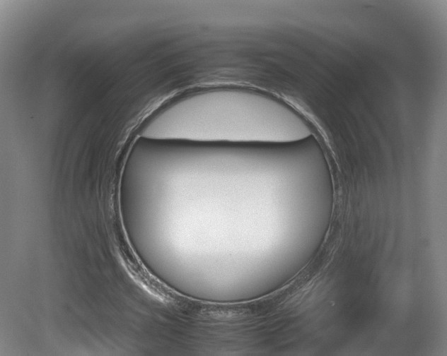 X0000081570533200701151028