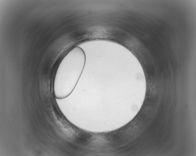 X0000081570534200701151028