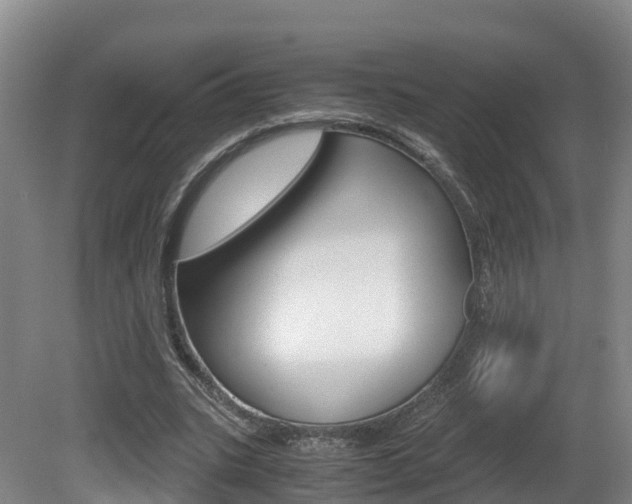 X0000081570535200701151028
