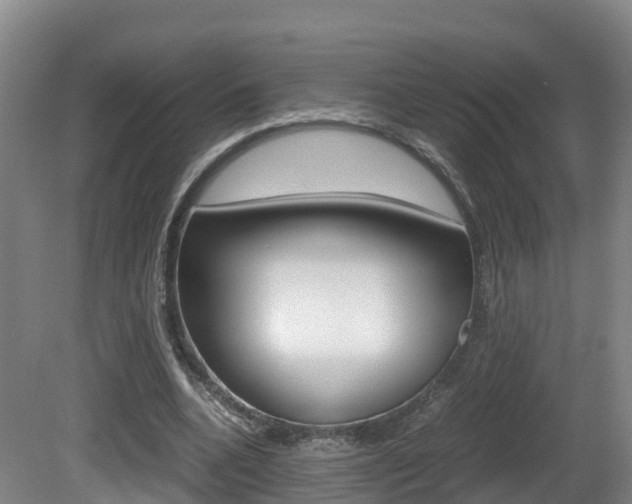 X0000081570536200701151028